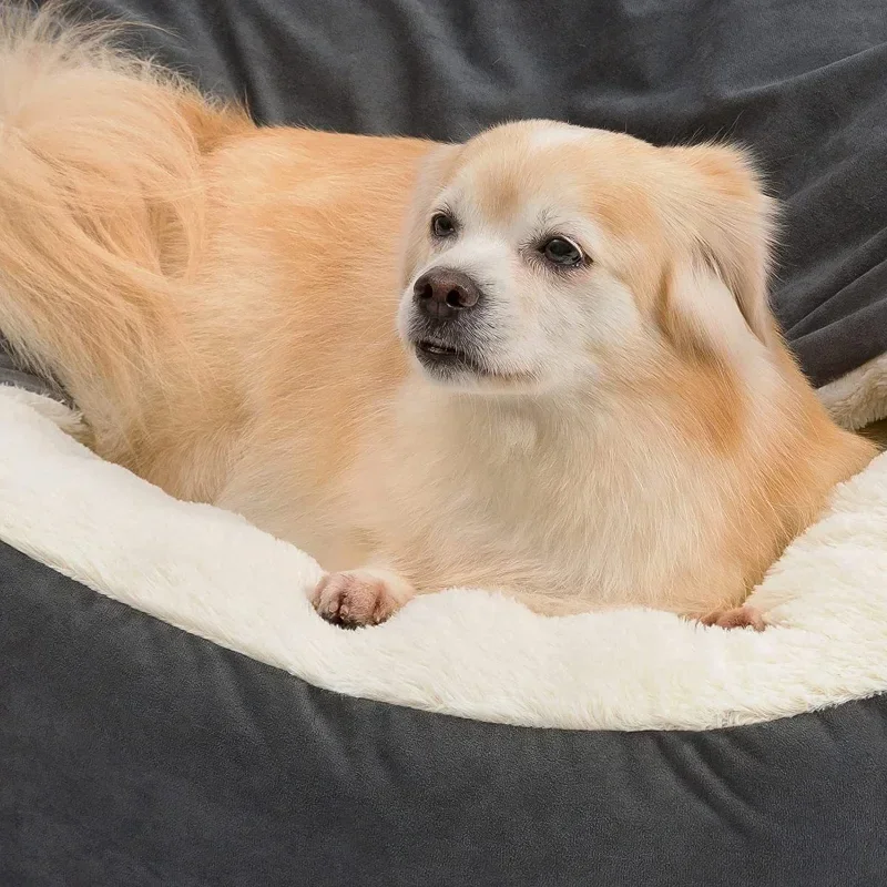 คอกสุนัขกึ่งปิดที่นอนสัตว์เลี้ - Calming Dog Bed บทวิจารณ์และราคา