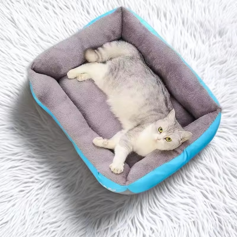 เบาะนอนนุ่มสบายสำหรับสุนัขและแ - Calming Dog Bed บทวิจารณ์และราคา