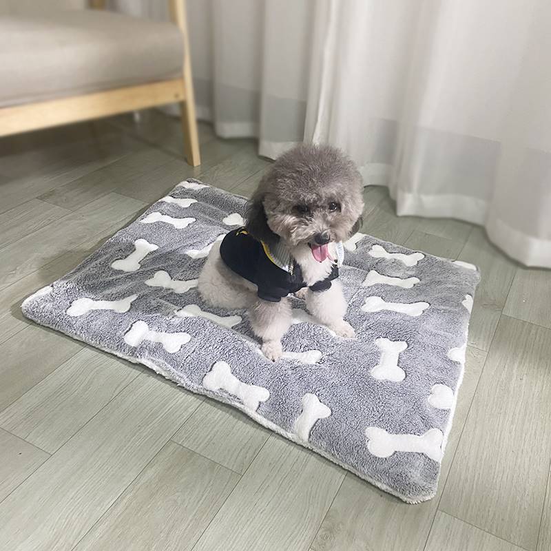 แผ่นรองนอนสำหรับสัตว์เลี้ยงแบบ - Calming Dog Bed บทวิจารณ์และราคา